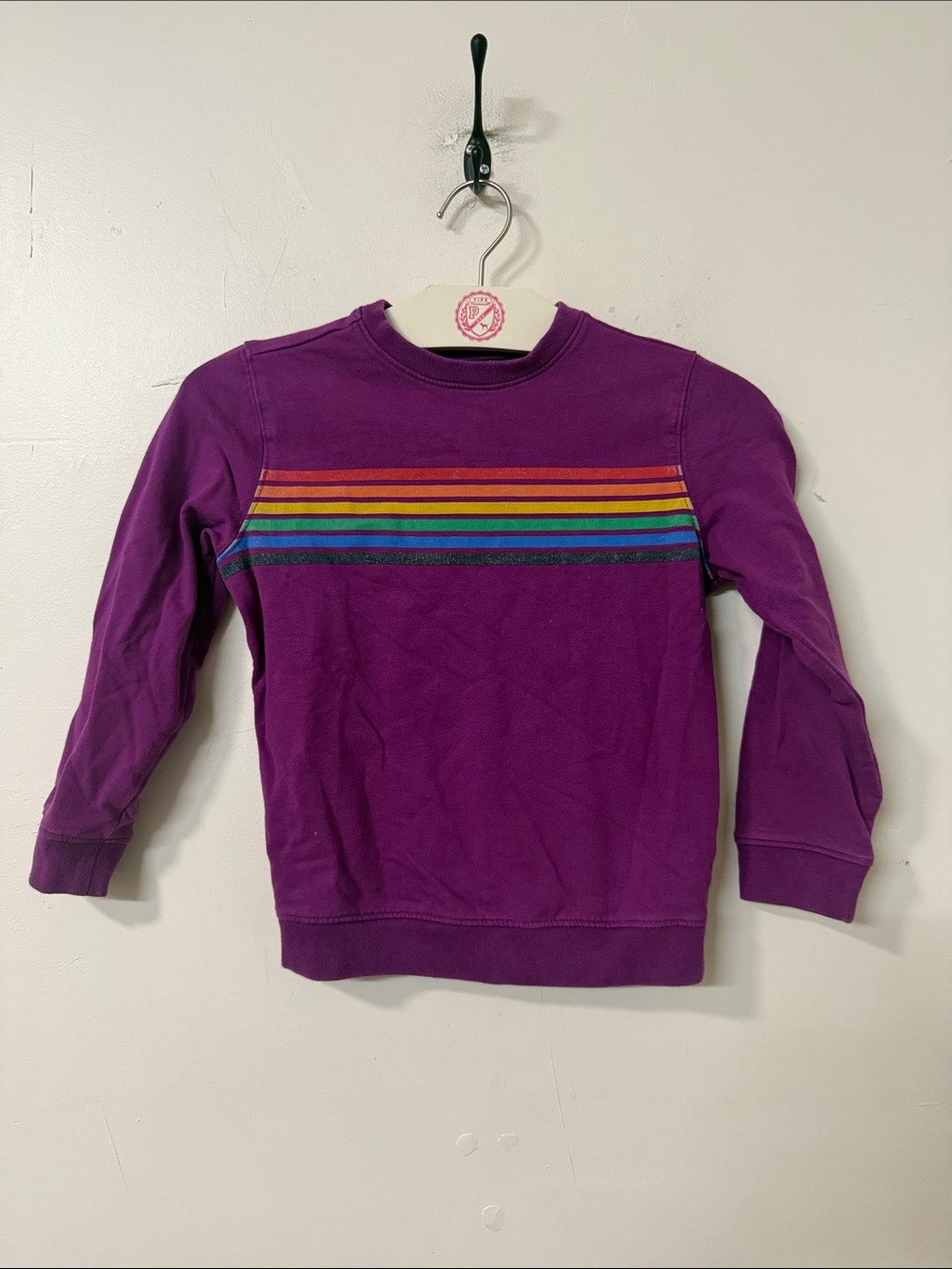 Primary Purple Sweatshirt with Rainbow Stripes